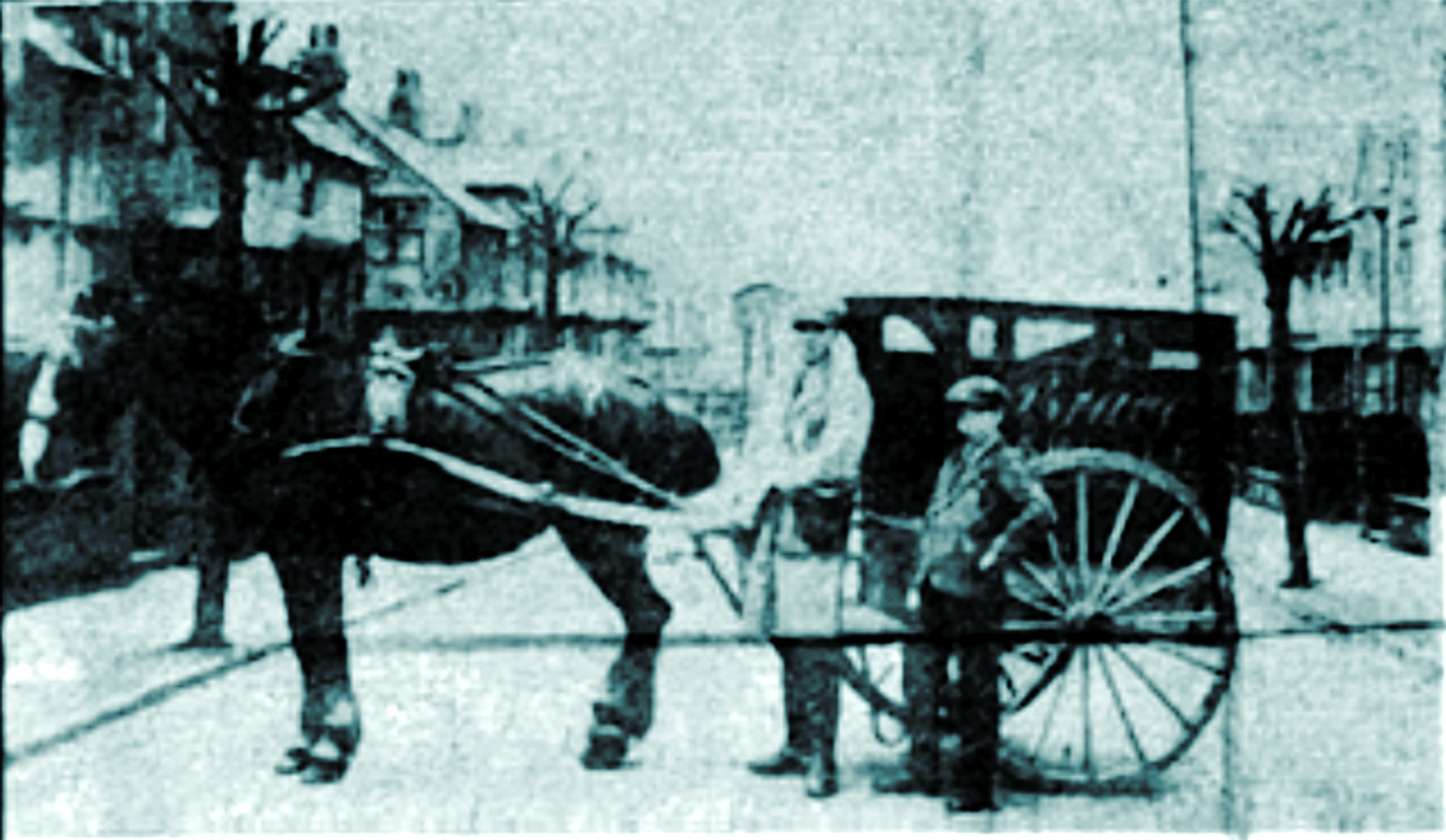 Heritage Brace's Bakery Family Bread Since 1902